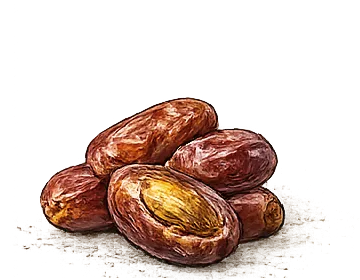 Date illustration